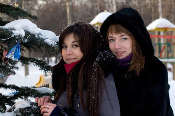 Zwei Freundinnen spazieren im Winter im Park — Stockfoto