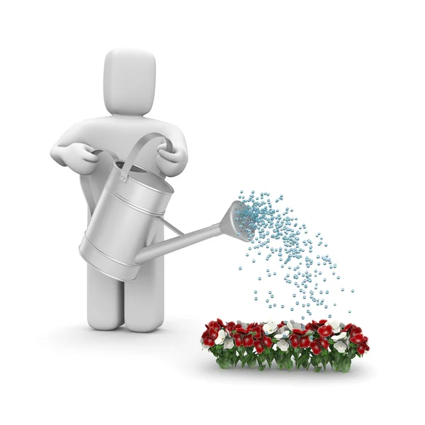 Person hälla blommor — Stockfoto