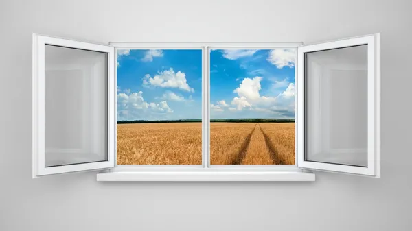 Geopende vensters met landschap — Stockfoto