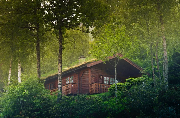 Casa na floresta da Noruega — Fotografia de Stock