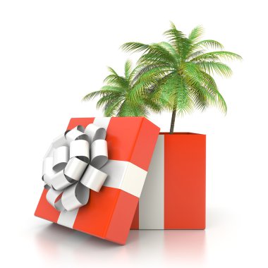 Palm tree from the gift box clipart