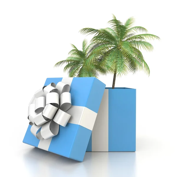 palmiye ağacı hediye kutusu