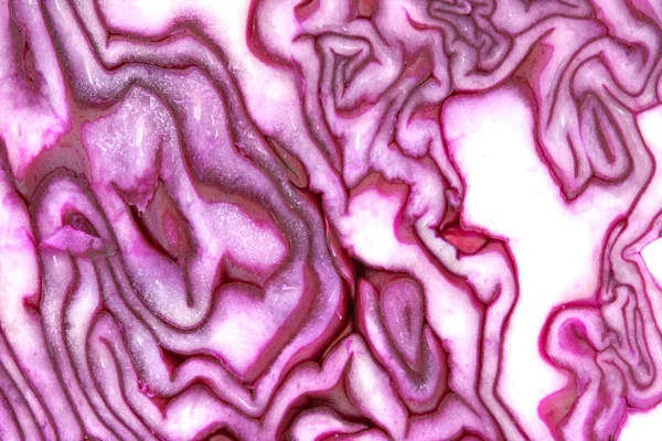 Μοτίβο ωμό κομμένα κόκκινο λάχανο — Φωτογραφία Αρχείου
