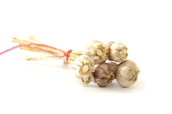Poucas cabeças de garlics no fundo branco — Fotografia de Stock