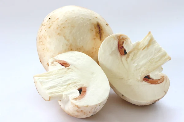 Cut raw mushrooms agarics on grey background Royalty Free Stock Images