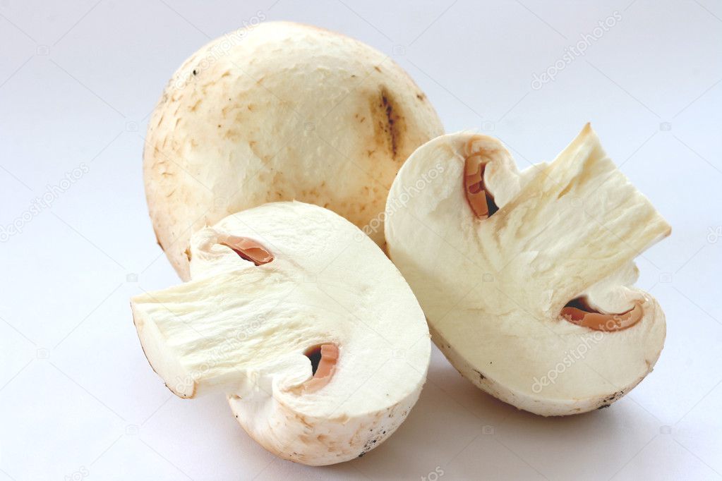 Cut raw mushrooms agarics on grey background