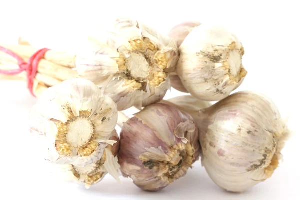 Poucas cabeças de garlics no fundo branco — Fotografia de Stock