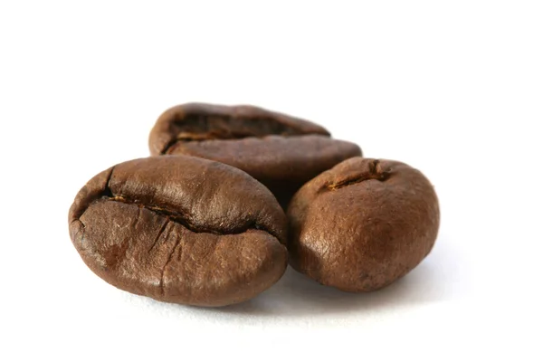 Three whole coffee beans detail on white background — Stock Photo, Image