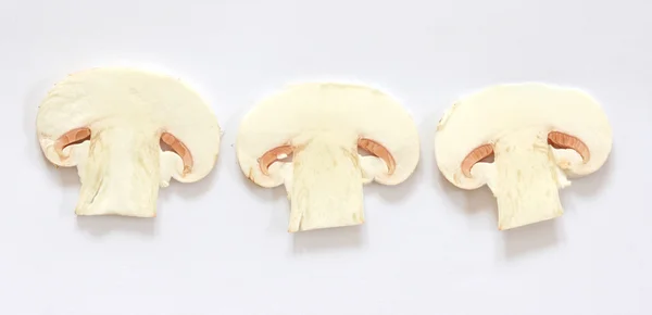Cut slices of raw mushrooms agarics on grey background Stock Image