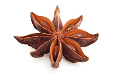 Whole star anise in closeup clipart