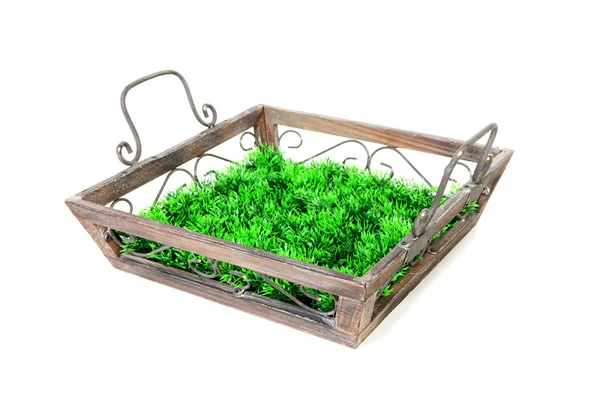 Empty tray with grass — Stock Photo, Image