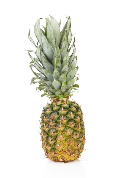 One fresh pineapple — Stock Photo, Image
