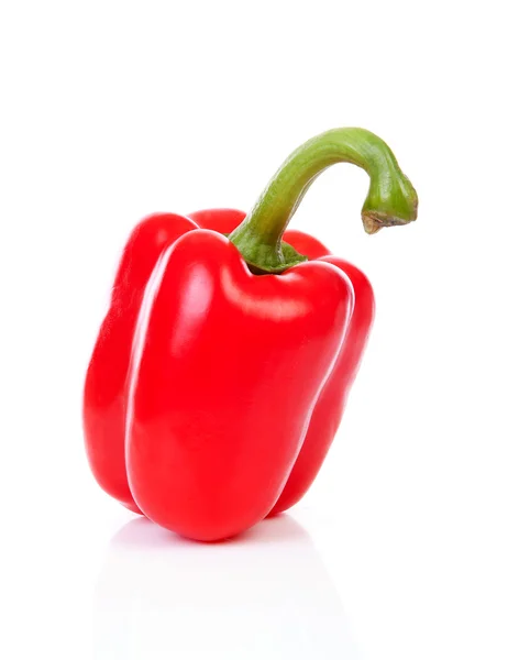 One red paprika — Stock Photo, Image