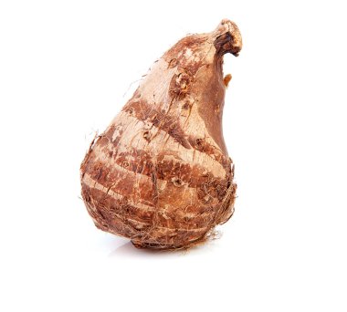 One raw Taro root clipart