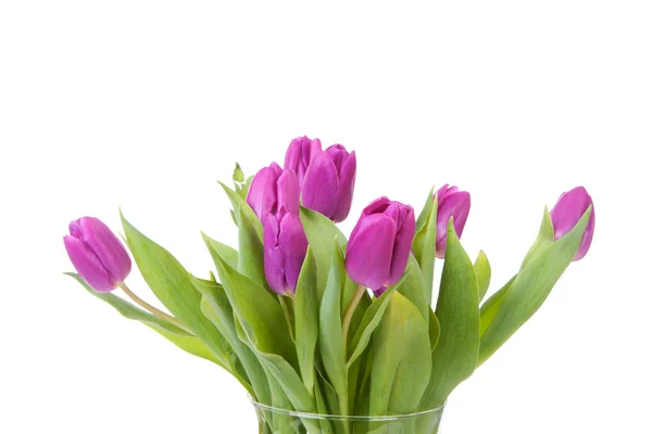 Vaso con tulipani viola — Foto Stock