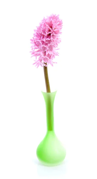Green vase with pink hyacinth flower — Stock Photo, Image