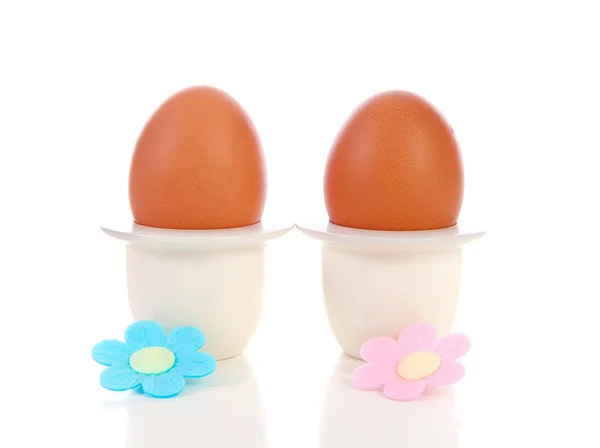 Dois ovos de galinha em titular — Fotografia de Stock