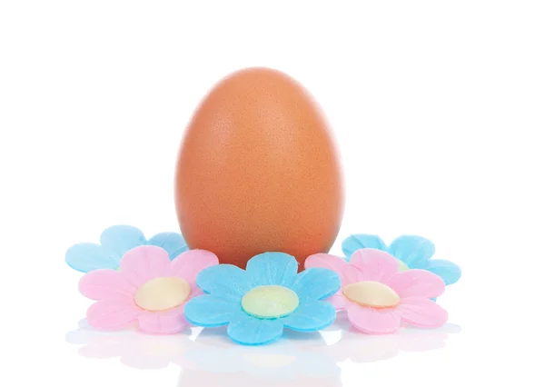 One chicken egg with flowers — Stock Photo, Image