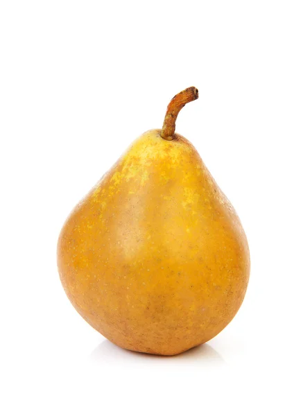 Een bolvormige gele pear — Stockfoto