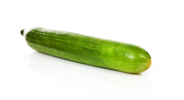 Jeden ogórek zielony — Zdjęcie stockowe