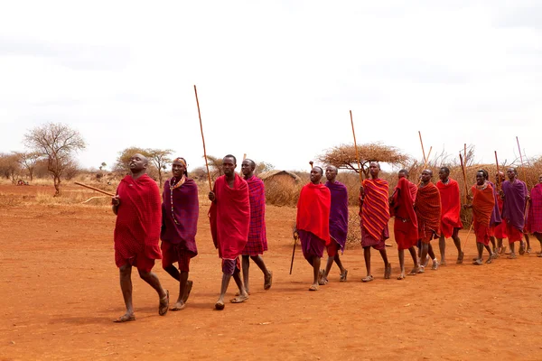 Masai krijgers traditionele als culturele ceremonie dansen — Stockfoto