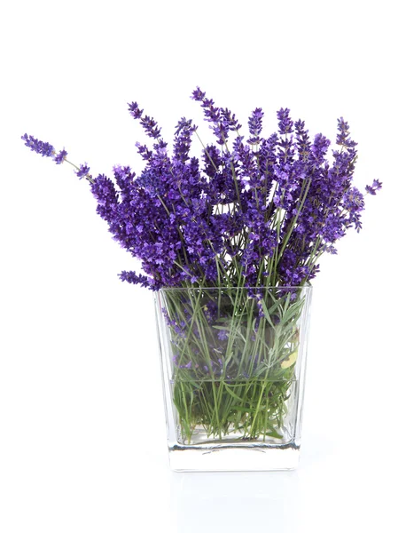 Kimppu poimittuja laventeli kukkia maljakko — kuvapankkivalokuva