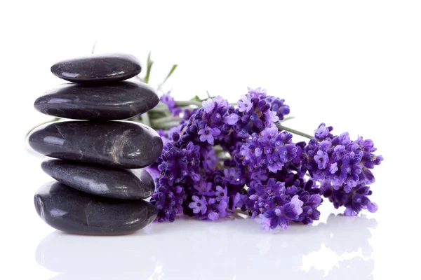 Pedrinhas pretas empilhadas pedras e flores de lavanda — Fotografia de Stock