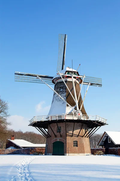 Nederlandse molen in de buurt van apple — Stockfoto