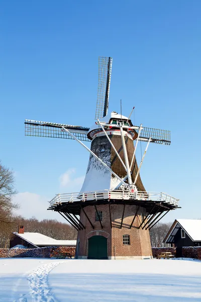 Dutch windmill near Apple — Stock Photo, Image