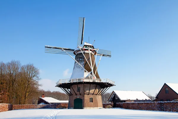 Nederlandse molen in de buurt van apple — Stockfoto