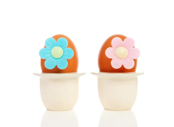 두 개의 계란 꽃 홀더 — 스톡 사진