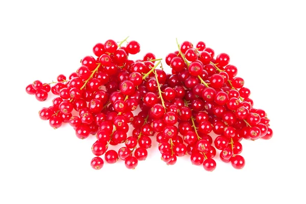 Fresh red currant berries — Stock Photo, Image