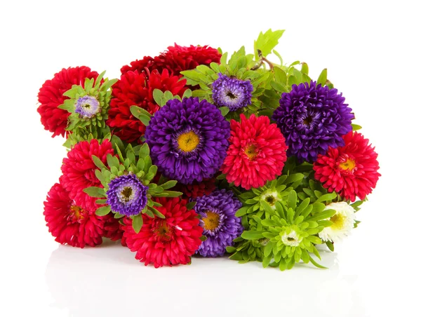 Bouquet of colorful Asters flowers — Stock Photo, Image