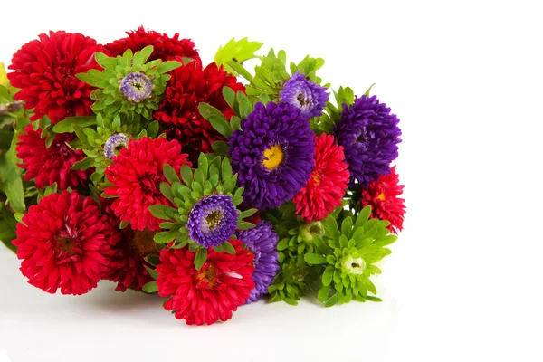 Bouquet of colorful Asters flowers — Stock Photo, Image