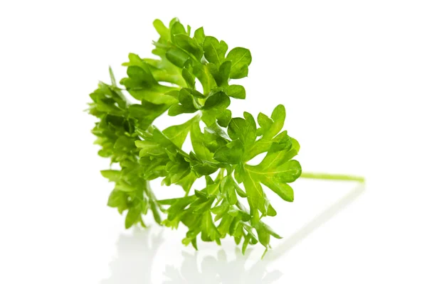 Macro of fresh parsley — Stock Photo, Image