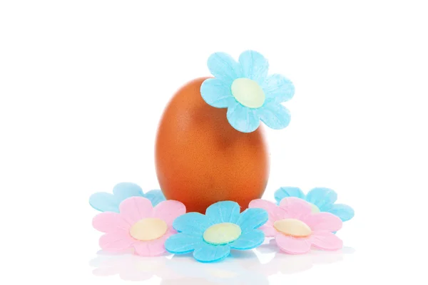 Satu telur ayam dengan bunga merah muda dan biru — Stok Foto