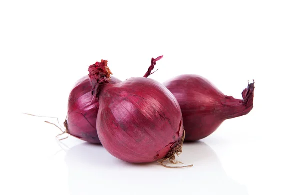 Three red onion — Stock Photo, Image