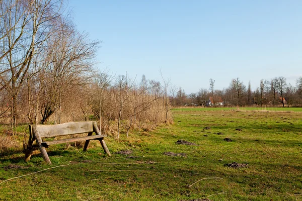 Empty bench in nature — Stock Photo, Image