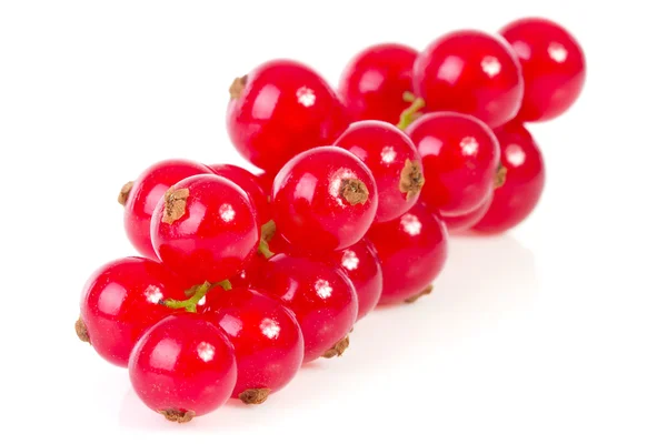 Bunch of red currant berries in closeup — Stock Photo, Image