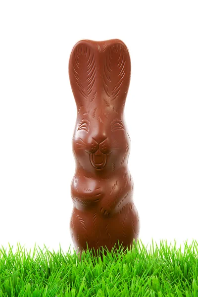 Σοκολατένιο λαγουδάκι του Πάσχα στο γρασίδι — Φωτογραφία Αρχείου