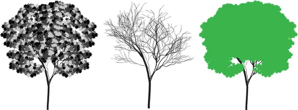 Baum-Silhouetten-Vektor — Stockvektor