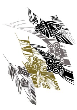 Bird's feather clipart