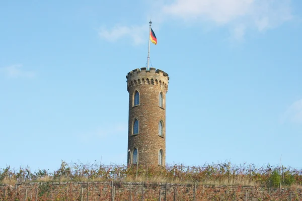 Toren in de wijngaard — Stockfoto