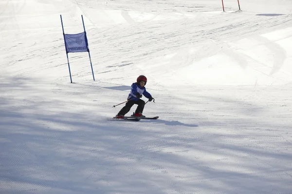 Esquí alpino para niños — Foto de Stock