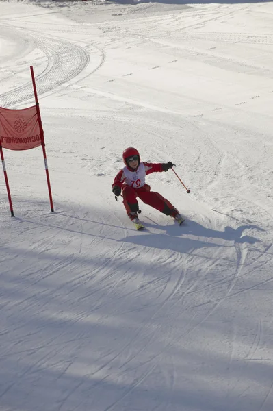 stock image Childrens alpine skiing