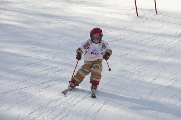 어린이 알파인 스키 — 스톡 사진