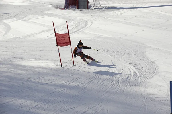 stock image Childrens alpine skiing