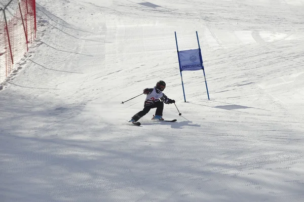 Παιδικά αλπικού σκι — Φωτογραφία Αρχείου