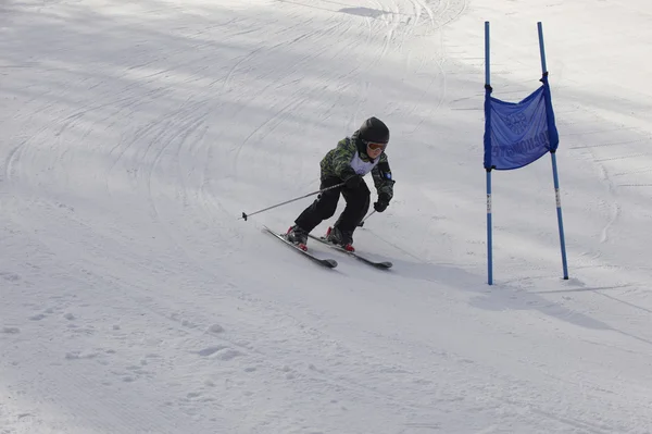 儿童高山滑雪 — 图库照片