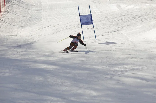 子供の高山のスキー ロイヤリティフリーのストック写真